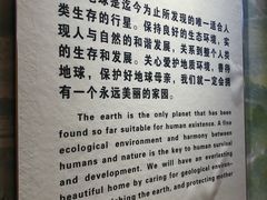 -河南自然博物馆