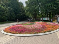 -黄兴公园