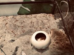 -藦茜花园宠物主题亲子互动体验馆(国顺东路店)