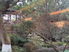 -浙江西子宾馆·瑶园咖啡厅