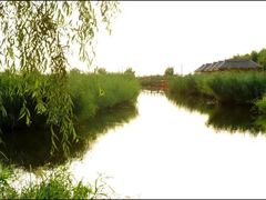 -白渔泡湿地公园
