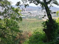 -灵岩山风景区