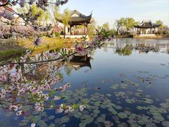 -无锡蠡湖国家湿地公园-蠡园