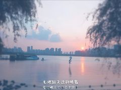 -天鹅湖体育公园
