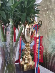 -莎蔓莉莎美容会所