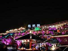 -枇杷园食为鲜火锅(南山店)