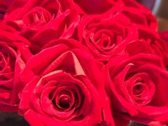 -华豫川酒家(双子塔店)