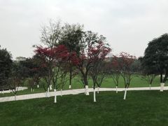 -重庆市江北嘴中央商务区中央公园