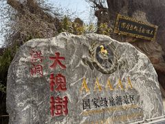 -大槐树寻根祭祖园