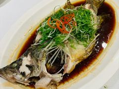 -新雅粤菜馆(南京东路店)