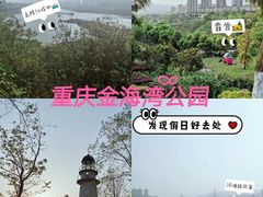-金海湾滨江公园