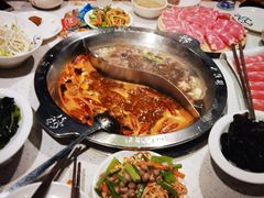 -大龙燚火锅