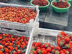 -重振华中蔬菜批发市场(重庆中路店)