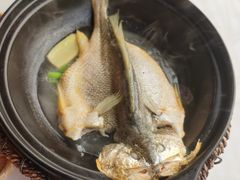 泉水黄花鱼-锦園(伊势丹美食城店)