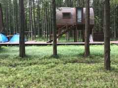 -黄海国家森林公园