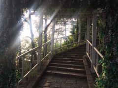 -燕窝岭