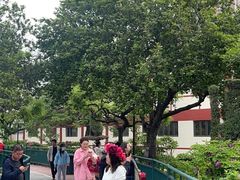 -曹州百花园