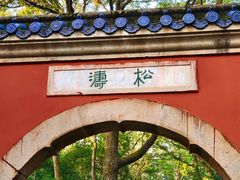 -灵谷景区