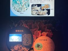 -太平洋海底世界