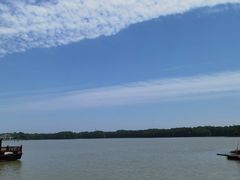 -上海海湾国家森林公园