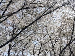 -白塘生态植物园