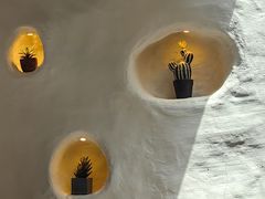 -Sirena海妖日咖夜酒