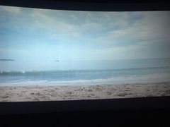 -CoCo都可(汇金大润发店)