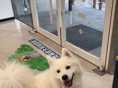 -艾贝尔宠物医院 ·中兽医·宠保定点(北门桥店)