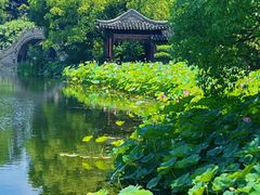 -南园(太仓市)