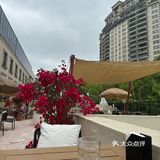 🍸午间brunch美出高度⛪🍴️🌸｜衡山路8号
