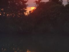 -苏州湾·王焰温泉