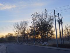 -伊犁河风景区