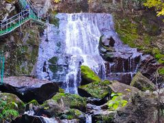 -藏龙百瀑风景区