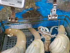 -盒马鲜生(杭州运河上街店)