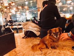 -Moka Bros 摩卡站(嘉华店)