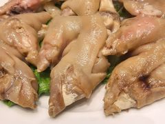 -丁老爷子苏香圆