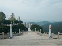 -铁山坪森林公园