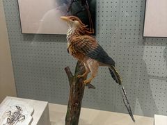 -辽宁古生物博物馆