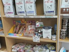 -中农大我爱我爱24h动物医院·中医针灸·猫专科·骨科医疗中心(双井店)