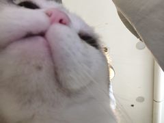 -平行世界·猫咖(首经贸店)