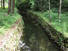 -黎坪国家森林公园