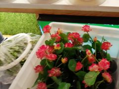 -渝厨生态火锅(合川区府店)