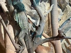 -绿色星球动物主题公园