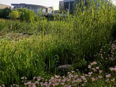 -3W咖啡(国家软件园店)