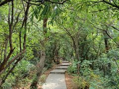 -良渚文化村