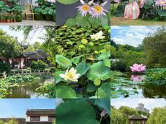 -厦门园林博览苑