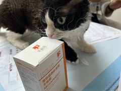 -美联众合动物医院·24h转诊中心