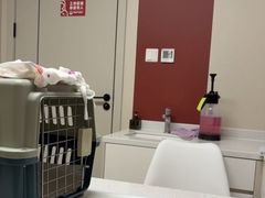 -御宝贝24h宠物医院·转诊中心·CT核磁血透中心(厦门总院)