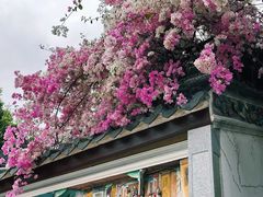 -深圳国际园林花卉博览园