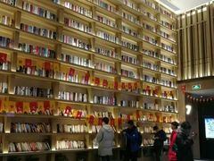 -深影国际影城(学院南路店CGS中国巨幕店)